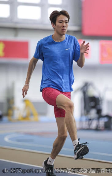 3377体育官方网站，全方位满足你的体育需求