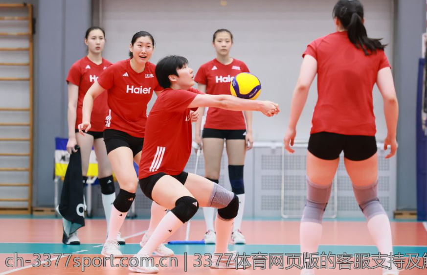 3377体育网页版的客服支持及解决方案