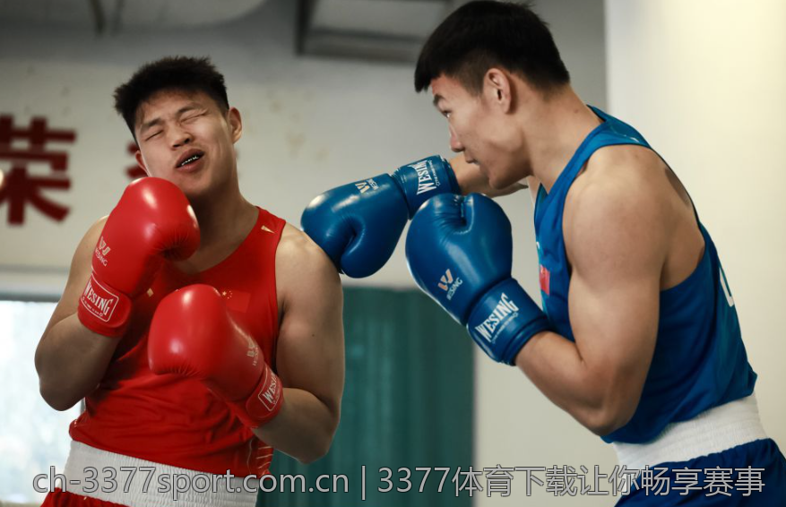 3377体育下载让你畅享赛事