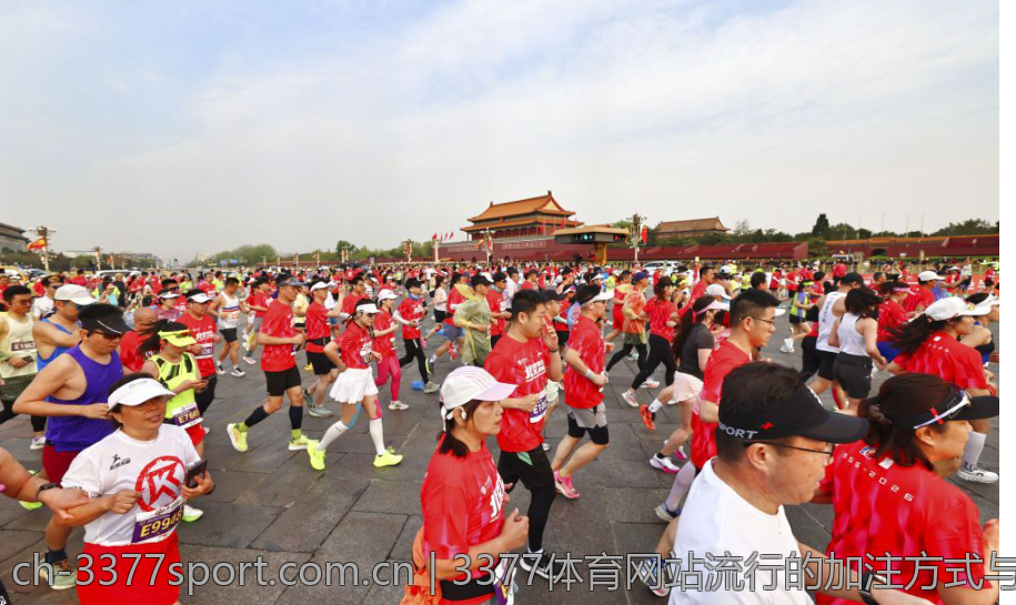 3377体育网站流行的加注方式与分析